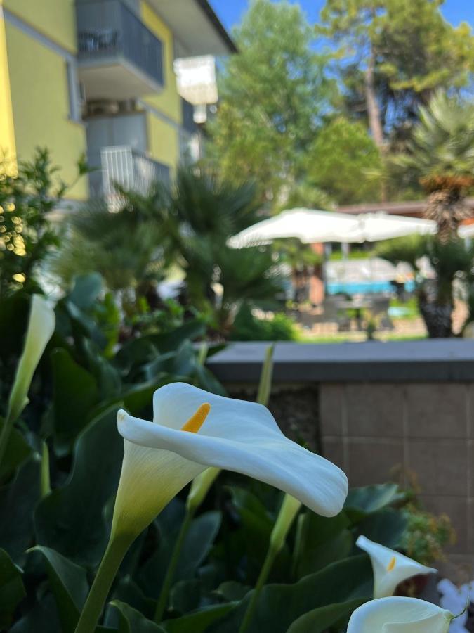 Hotel Ai Pini Grado Bagian luar foto