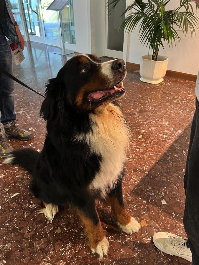 Hotel Ai Pini Grado Bagian luar foto